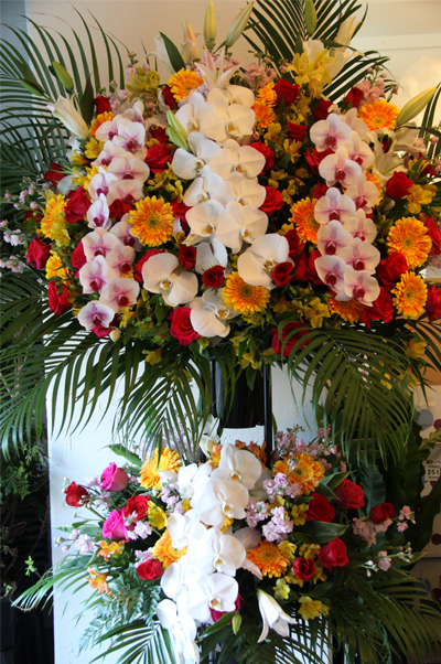 �X�^���h�� �L����